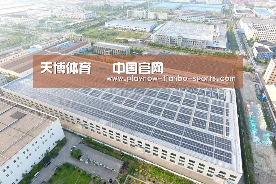 案例展示二