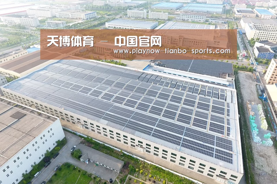 案例展示一
