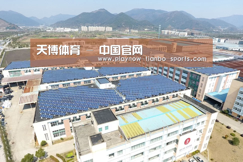 案例展示四