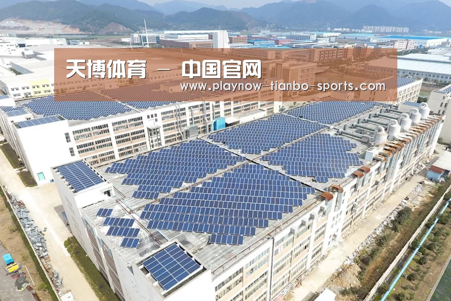 案例展示三