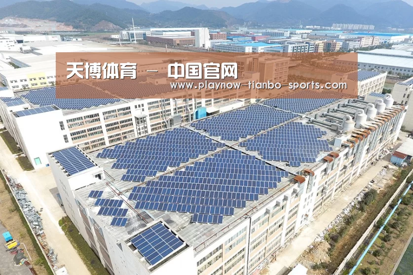 案例展示二