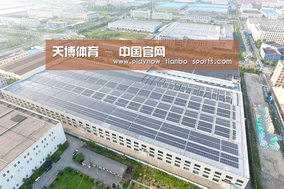 案例展示二