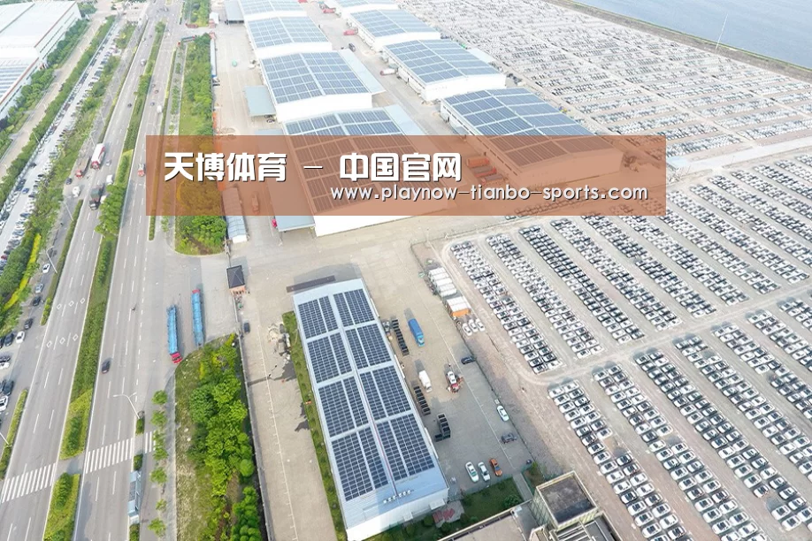 案例展示一