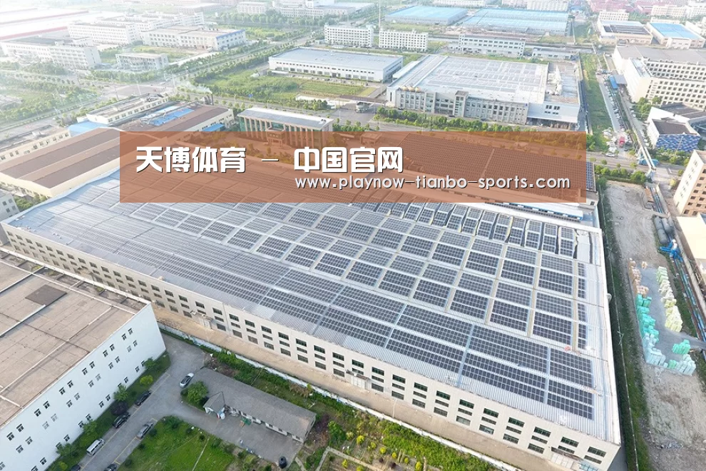 案例展示三