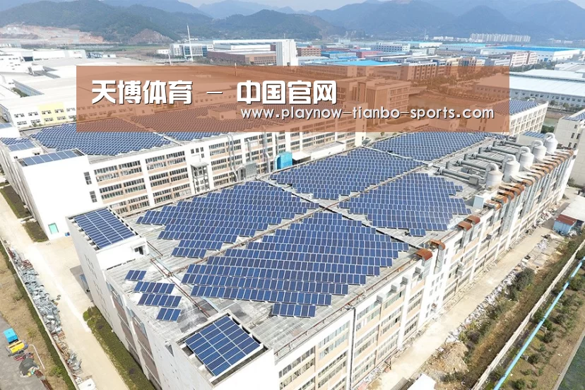案例展示四