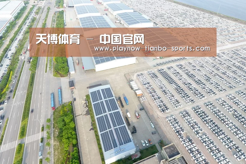 案例展示四