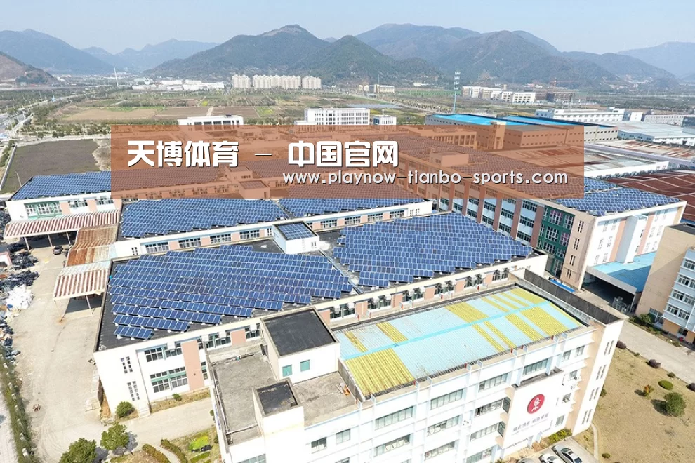案例展示三