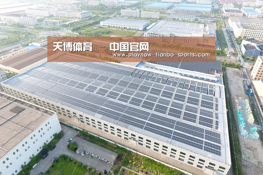 案例展示四