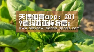 天博体育