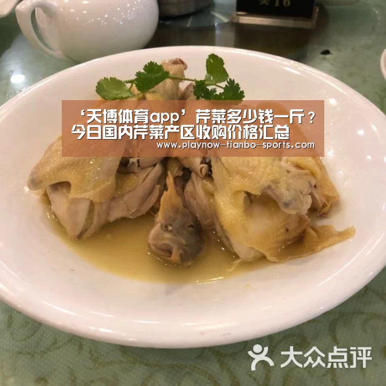‘天博体育app’芹菜多少钱一斤?今日国内芹菜产区收购价格汇总(图2) 天博体育入口