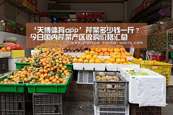 ‘天博体育app’芹菜多少钱一斤?今日国内芹菜产区收购价格汇总(图3) 天博体育