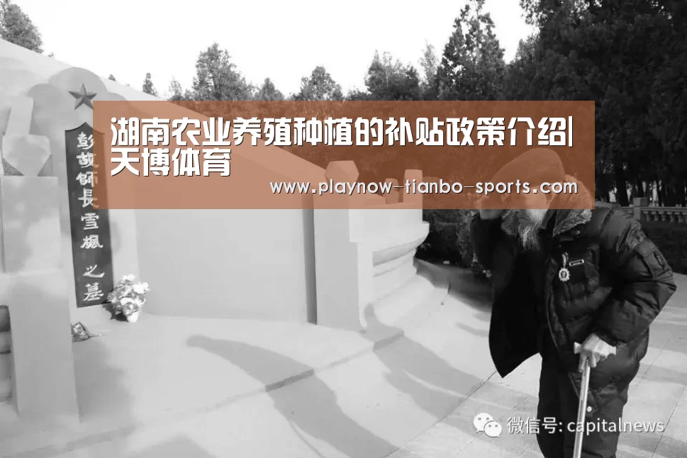 天博体育入口