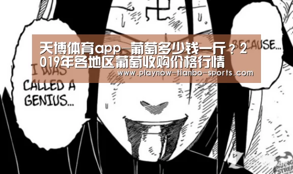 天博体育app-葡萄多少钱一斤?2019年各地区葡萄收购价格行情(图1) 天博体育app