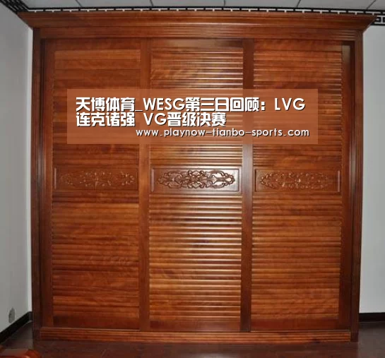 天博体育_WESG第三日回顾:LVG连克诸强 VG晋级决赛(图2) 天博体育app