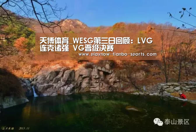 天博体育_WESG第三日回顾:LVG连克诸强 VG晋级决赛(图3) 天博体育app