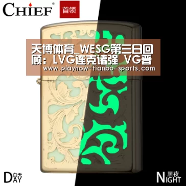 天博体育_WESG第三日回顾:LVG连克诸强 VG晋级决赛(图1) 天博体育