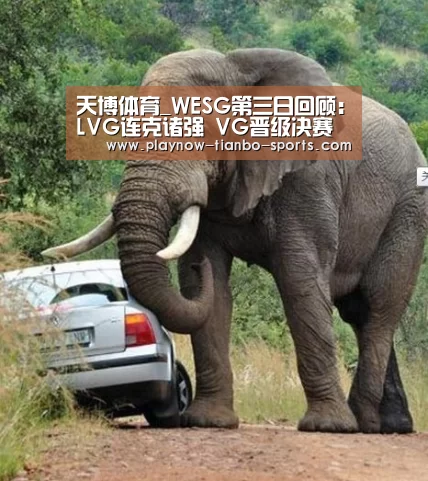 天博体育_WESG第三日回顾:LVG连克诸强 VG晋级决赛(图4) 天博体育官网